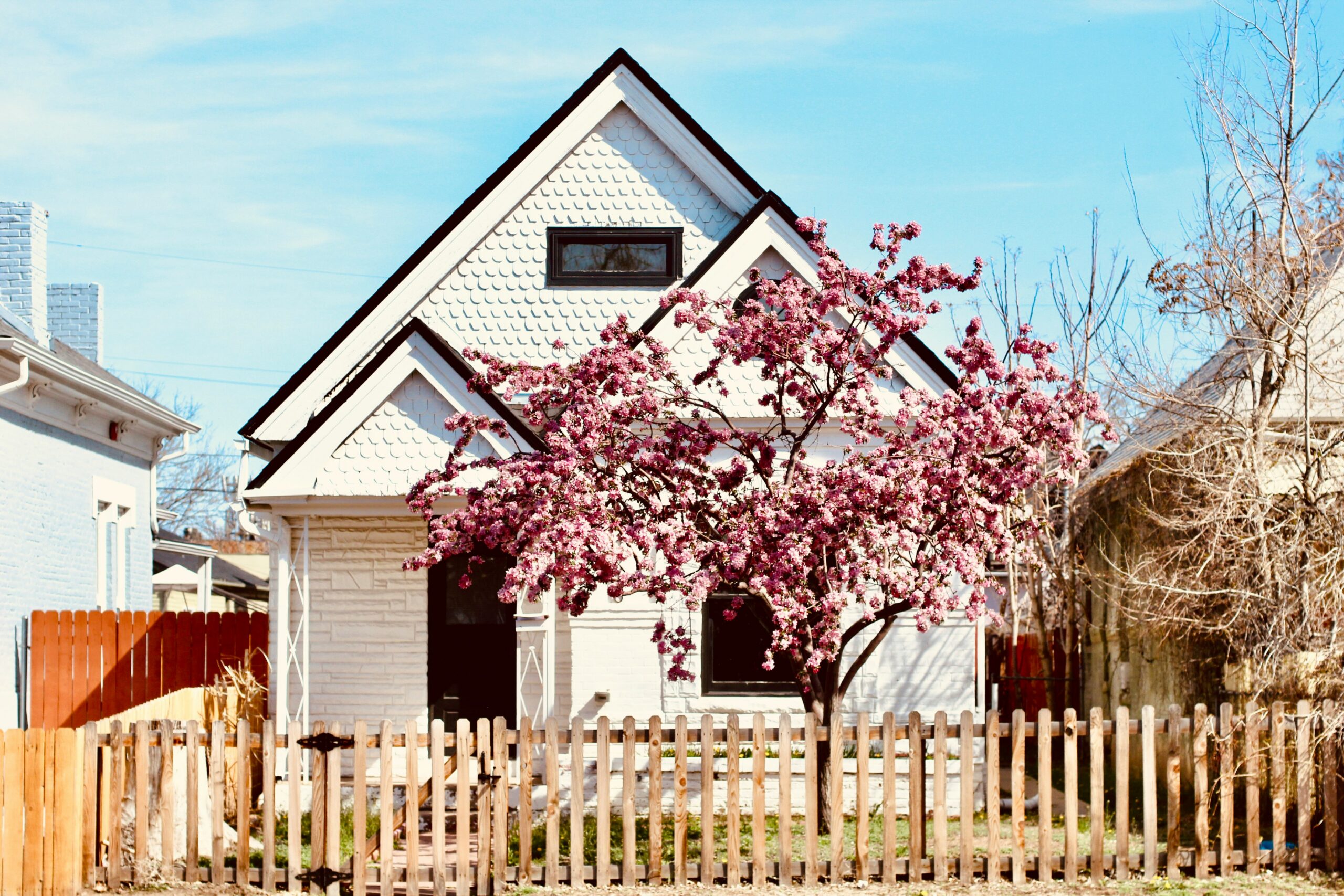 Charming white house with black trim and a gabled roof, framed by a blossoming pink tree and a wooden fence, set under a clear blue sky.