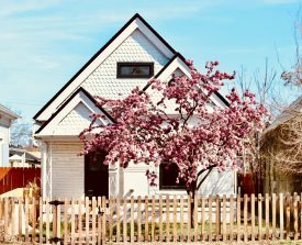 Charming white house with black trim and a gabled roof, framed by a blossoming pink tree and a wooden fence, set under a clear blue sky.